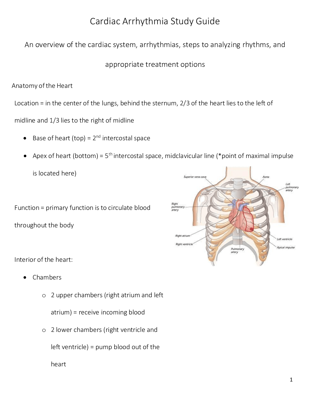 Cardiac Arrhythmia Study Guide An overview of the cardiac system